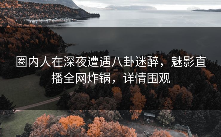 圈内人在深夜遭遇八卦迷醉，魅影直播全网炸锅，详情围观