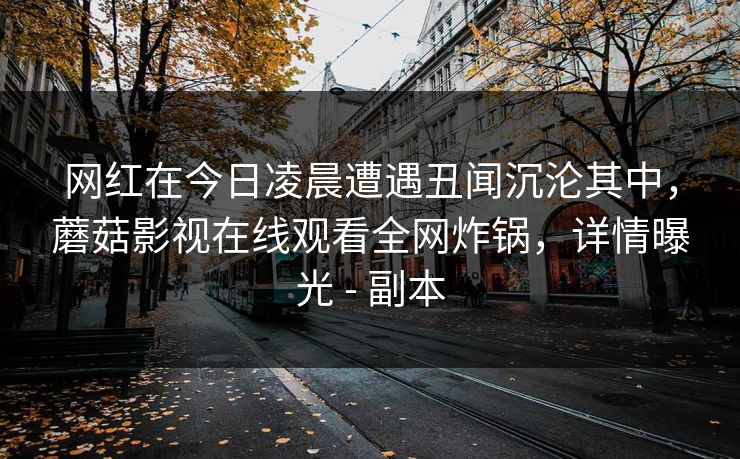 网红在今日凌晨遭遇丑闻沉沦其中,蘑菇影视在线观看全网炸锅,详情曝光 - 副本 网红在今日凌晨遭遇丑闻沉沦其中,蘑菇影视在线观看全网炸锅,详情曝光 - 副本