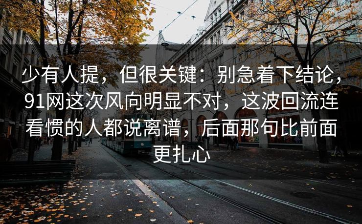 少有人提，但很关键：别急着下结论，91网这次风向明显不对，这波回流连看惯的人都说离谱，后面那句比前面更扎心